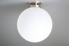CEILING LIGHT MODEL NO. 9017