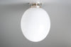 CEILING LIGHT MODEL NO. 8571