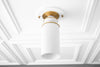 CEILING LIGHT MODEL NO. 7413