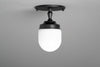 CEILING LIGHT MODEL NO. 2150
