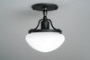 CEILING LIGHT MODEL NO. 0519