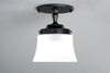 CEILING LIGHT MODEL NO. 7451