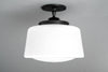 CEILING LIGHT MODEL NO. 6438