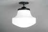 CEILING LIGHT MODEL NO. 8167