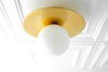CEILING LIGHT MODEL NO. 7651