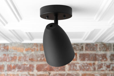 CEILING LIGHT MODEL NO. 4335