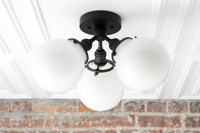 CEILING LIGHT MODEL NO. 0210