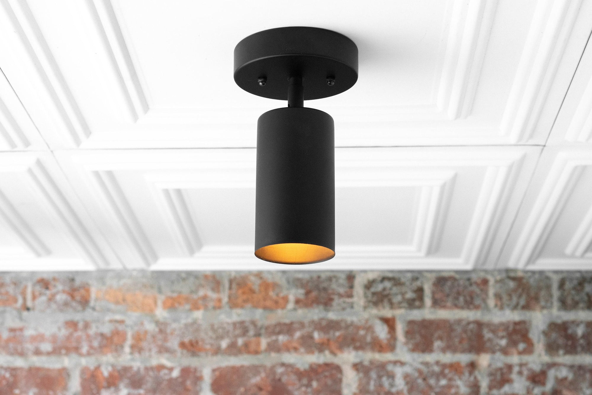 CEILING LIGHT MODEL NO. 2462