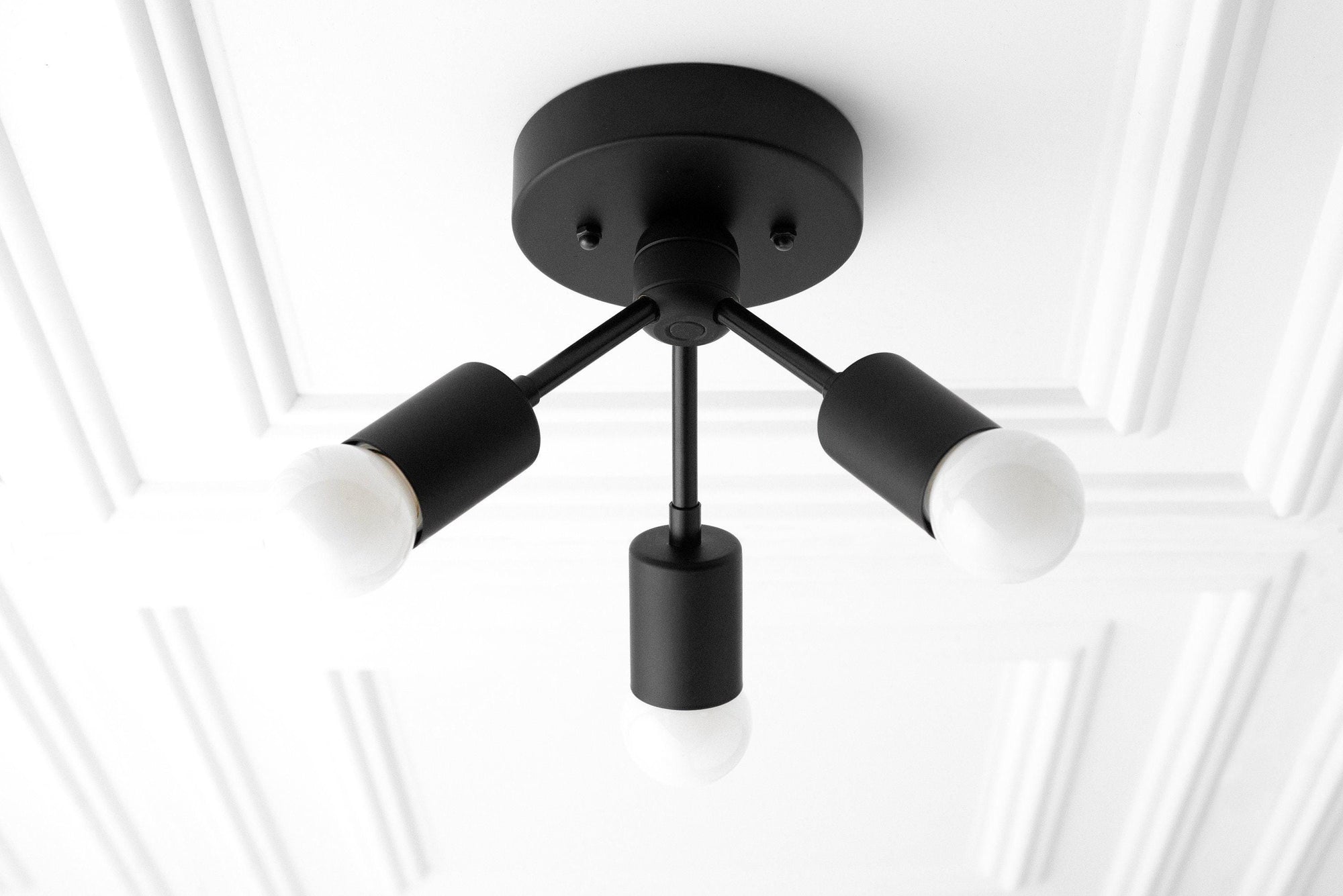 CEILING LIGHT MODEL NO. 6885