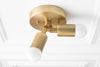CEILING LIGHT MODEL NO. 6617