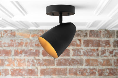 CEILING LIGHT MODEL NO. 4335