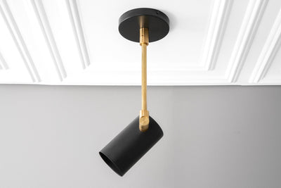 CEILING LIGHT MODEL NO. 4288