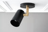 CEILING LIGHT MODEL NO. 4288