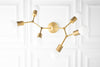 Molecule Light - Modern Chandelier - 6 Bulb Light - Branching Chandelier - Ceiling Lighting - Model No. 2523