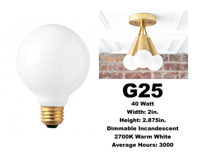 Incandescent - White - G25 Bulb